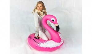 flamingo snow tube