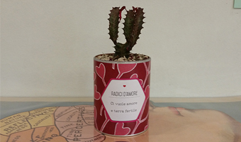 cactus-san-valentino-ci-vuole-radici-e-terra-fertile