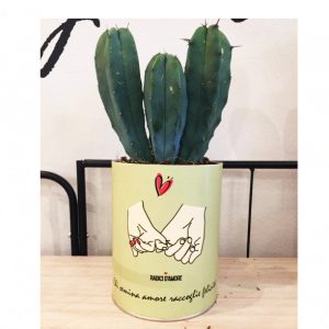 cactus in barattolo con messaggio